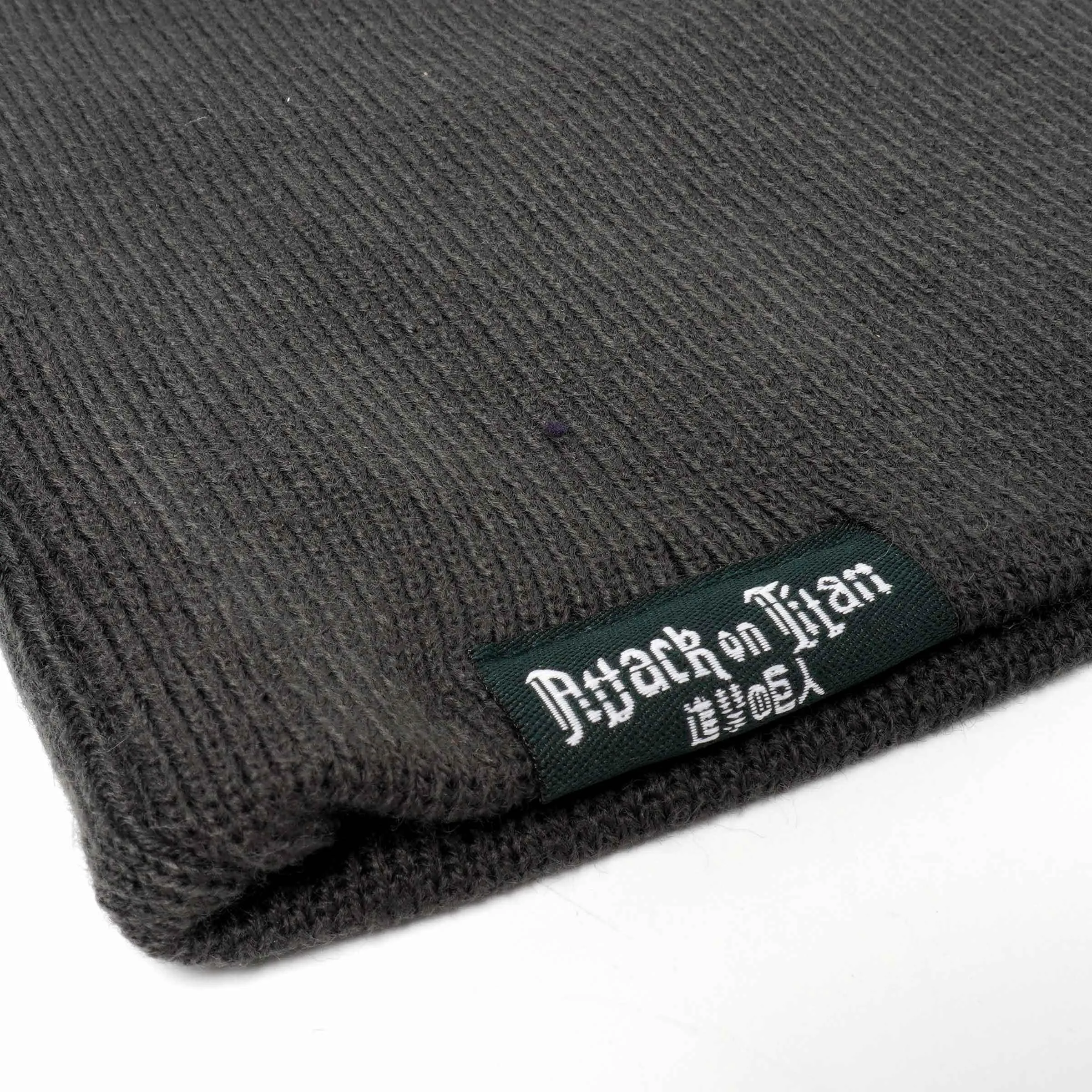 Attack On Titan Military Police Regiment Symbol Unfold Beanie